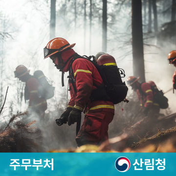 슬라이드 이미지